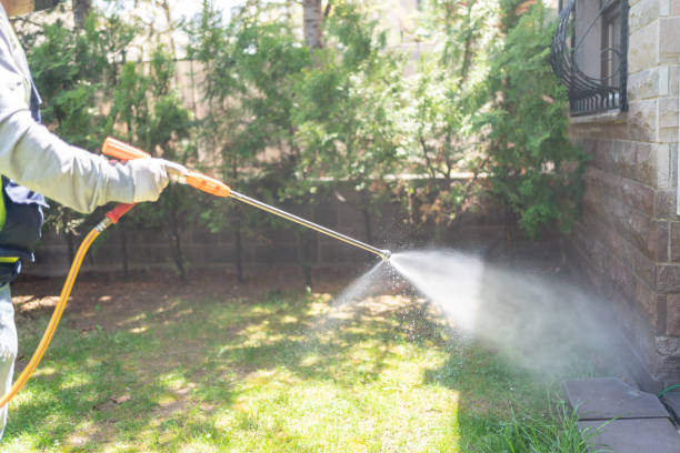 Best Insect Control  in West Wyoming, PA