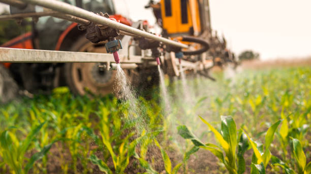 Best Mosquito Control Services  in West Wyoming, PA